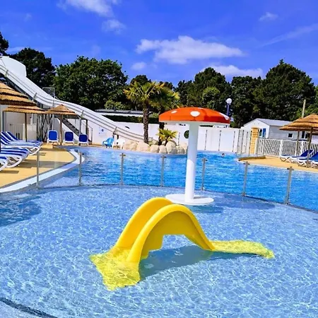 Charmant, Animaux Ok - 2 Pers. - Api-1-52-2845 Campingplatz Saint-Hilaire-de-Riez